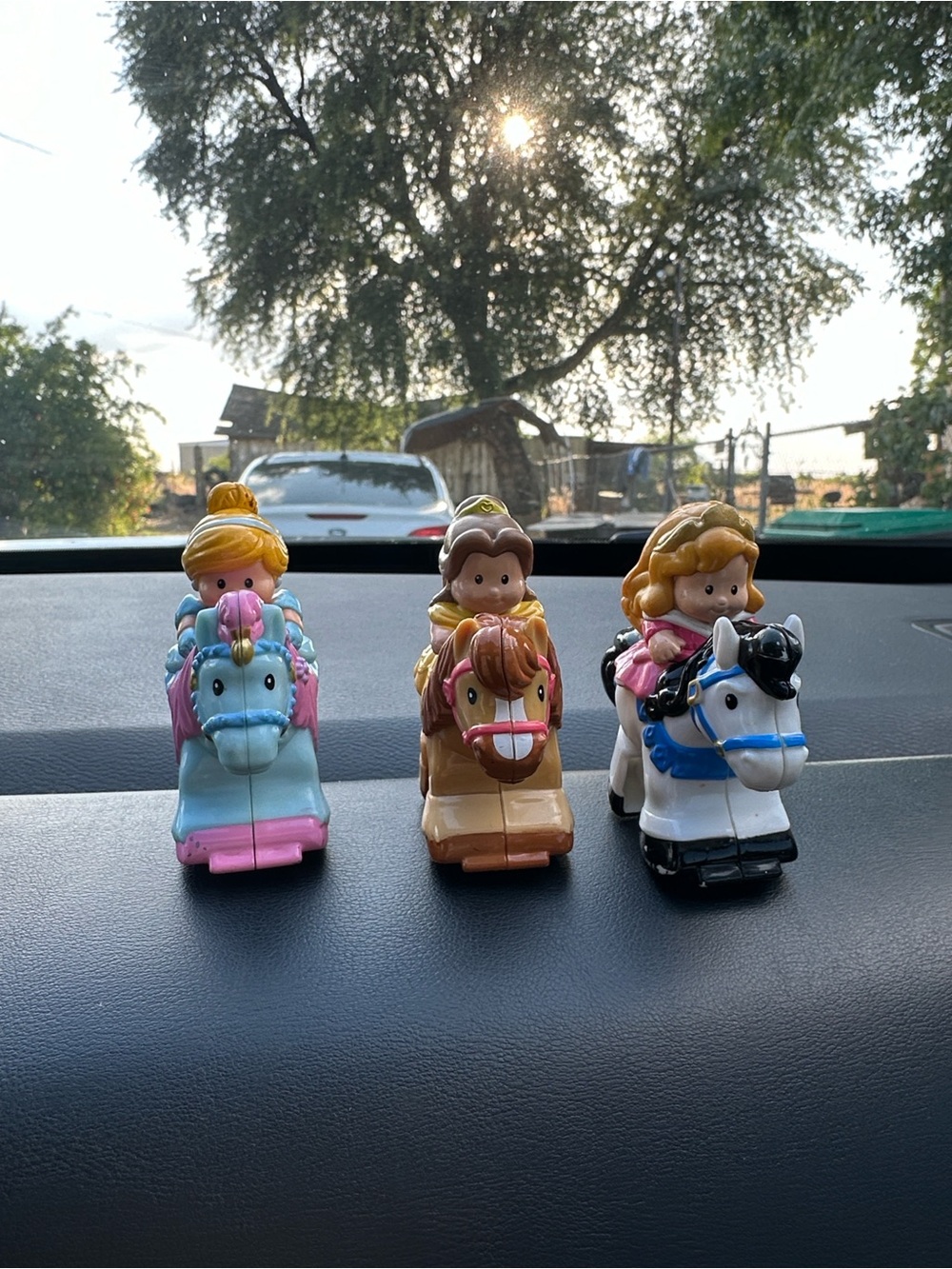 Princess Ride-On Toy Set - Blue, Brown & White Horse Trio